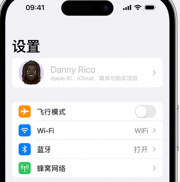 徐闻appleID维修服务iPhone设置中Apple ID显示为灰色无法使用