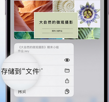 徐闻apple维修中心分享iPhone文件应用中存储和找到下载文件