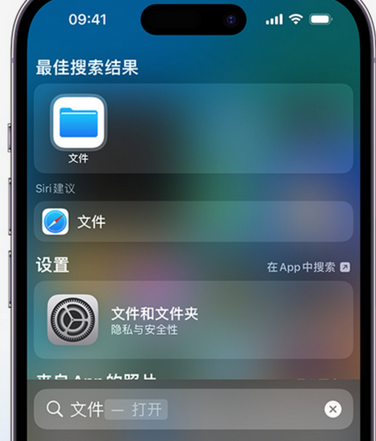 徐闻apple维修中心分享iPhone文件应用中存储和找到下载文件 