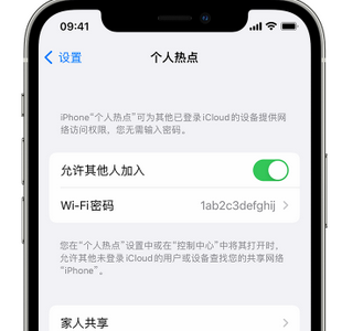 徐闻apple服务站点分享iPhone上个人热点丢失了怎么办 