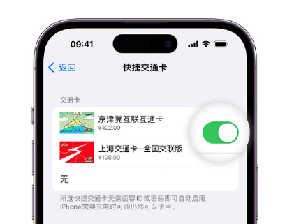 徐闻apple维修点分享iPhone上更换Apple Pay快捷交通卡手绘卡面 