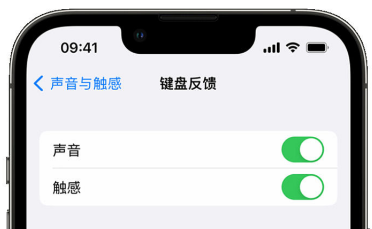 徐闻苹果手机维修分享iPhone 14触感键盘使用方法 