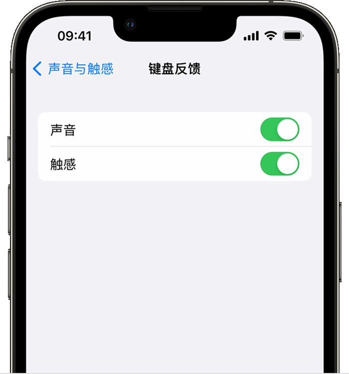 徐闻苹果14维修店分享如何在 iPhone 14 机型中使用触感键盘 