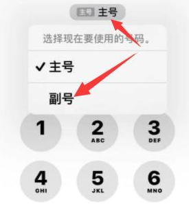 徐闻苹果14维修店分享iPhone 14 Pro Max使用副卡打电话的方法 