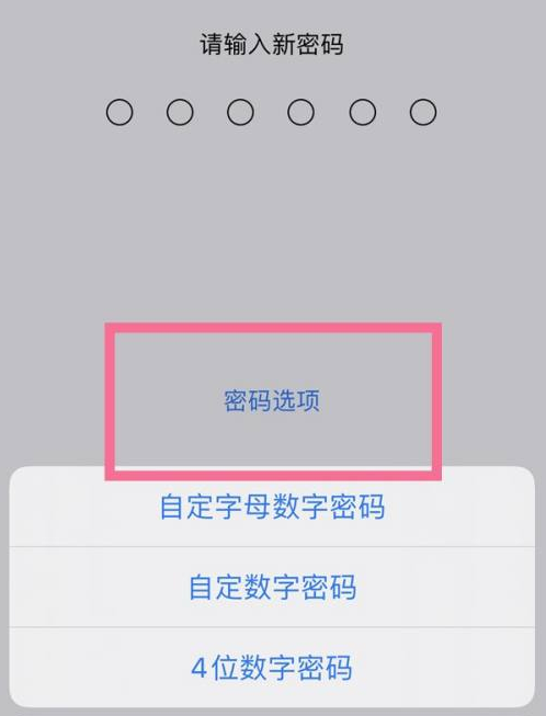 徐闻苹果14维修分享iPhone 14plus设置密码的方法 