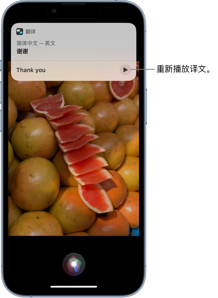 徐闻苹果14维修分享 iPhone 14 机型中使用 Siri：了解 Siri 能帮你做什么 