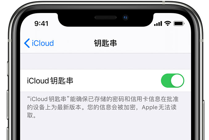 徐闻苹果手机维修分享在 iPhone 上开启 iCloud 钥匙串之后会储存哪些信息 