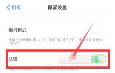 徐闻苹果13维修分享iPhone13拍照有绿点是怎么回事 
