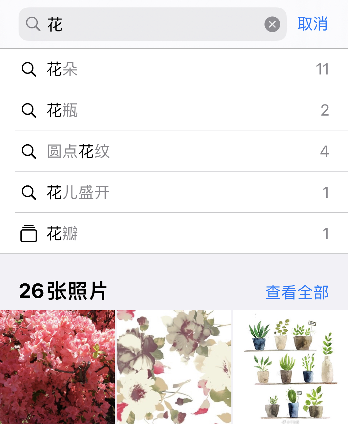 徐闻苹果手机维修分享iPhone 小技巧 