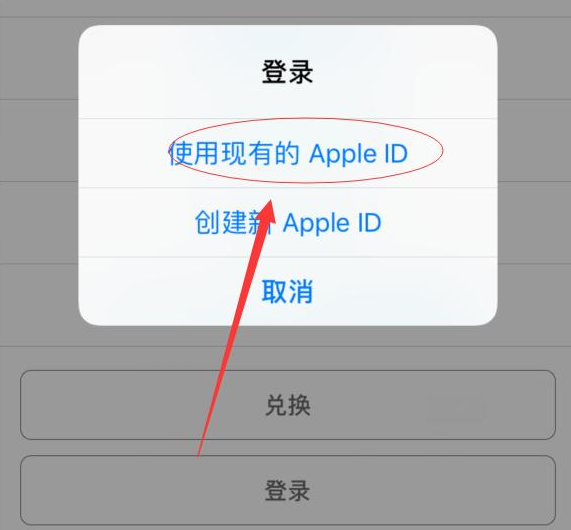 徐闻苹果手机维修分享两台iPhone设备可以同时登录一个Apple ID吗 