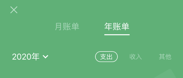 徐闻苹果手机维修分享如何在 iPhone 上查看支付宝和微信年支出账单 