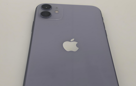 徐闻苹果11系统维修分享iPhone11手机系统崩溃无法开机如何解决 